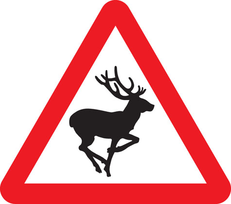 Wild animals